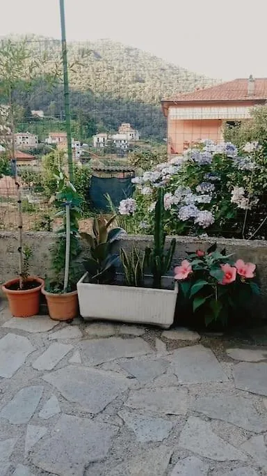 Vita Lenta Biassa